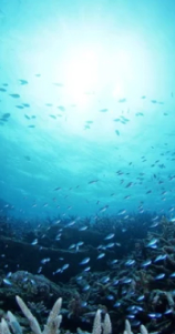 取り組みイメージ